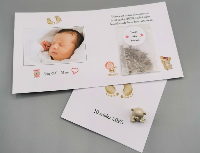 faire-part-de-naissance-plie-avec-graines-a-semer-enveloppe-par-5
