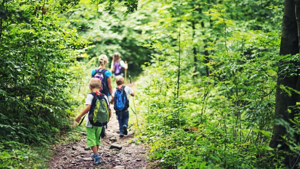 B583277A-859B-46C8-84E9-49D280FA5ADF